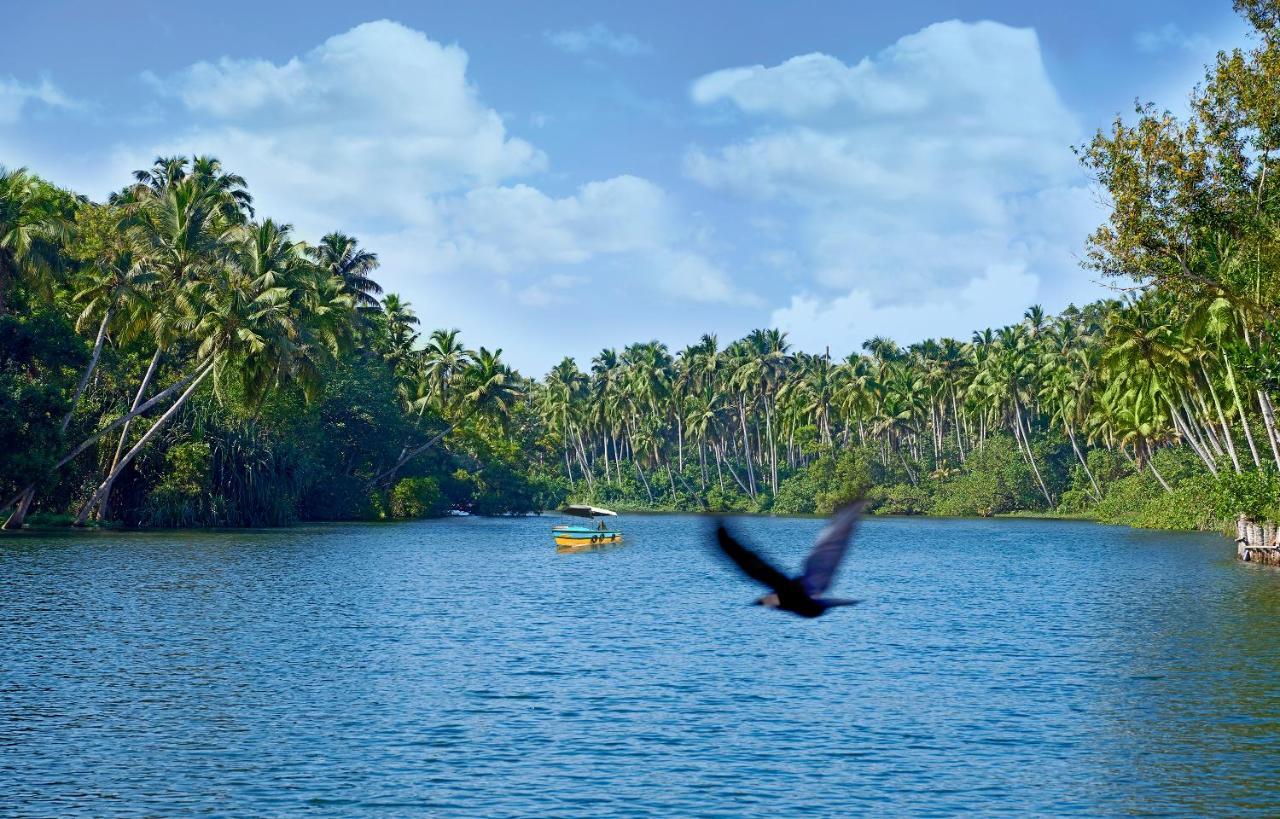 Estuary Sarovar Premiere Island 5* Poovar
